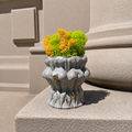 Pots of Love | Handmade Concrete Planters with Gold Leaf Finish | Minimalist Decorative Pots | Optional Dried Flowers or Preserved Moss